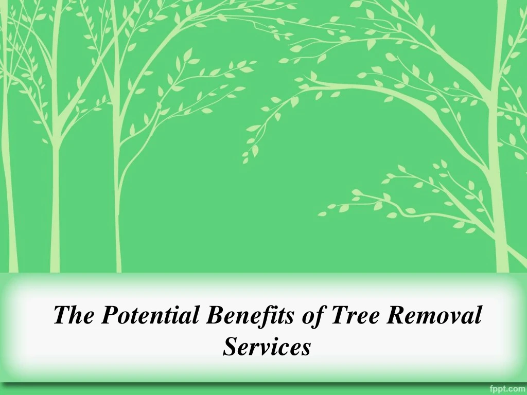 the potential benefits of tree removal services