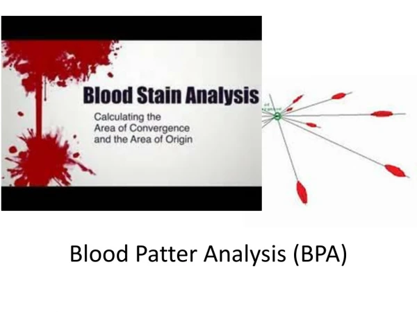 Blood Patter Analysis (BPA)
