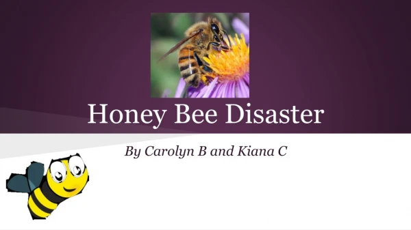 Honey Bee Disaster