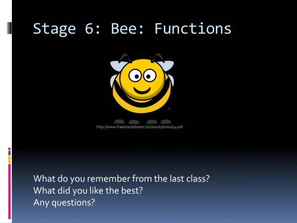 Stage 6: Bee: Functions