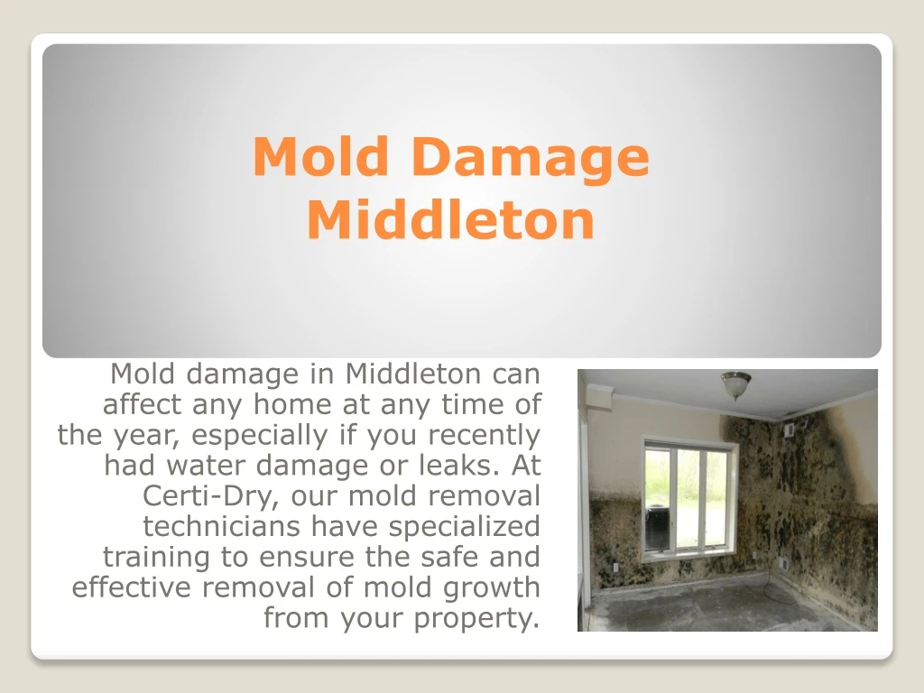 mold damage middleton