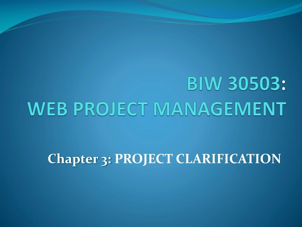 biw 30503 web project management