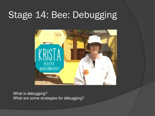 Stage 14: Bee : Debugging