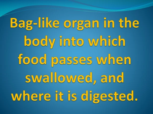 Bag- like organ in the body into which food passes when swallowed , and where it is digested .