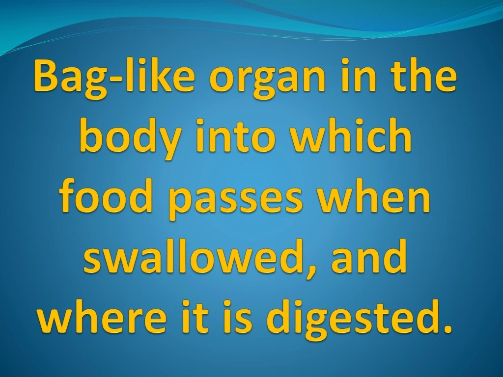 bag like organ in the body into which food passes when swallowed and where it is digested