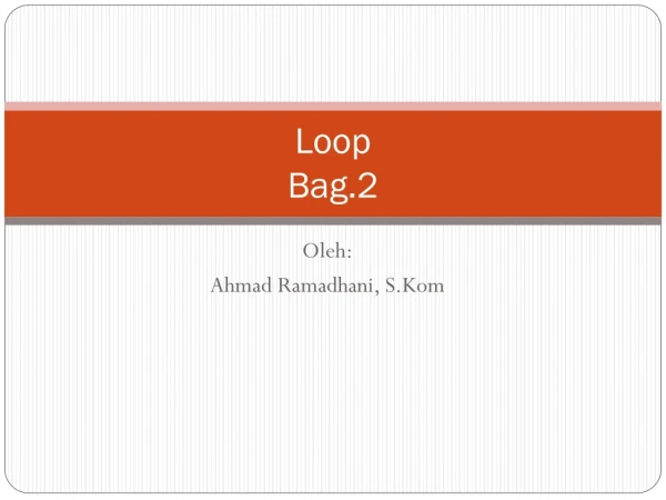 Loop Bag.2
