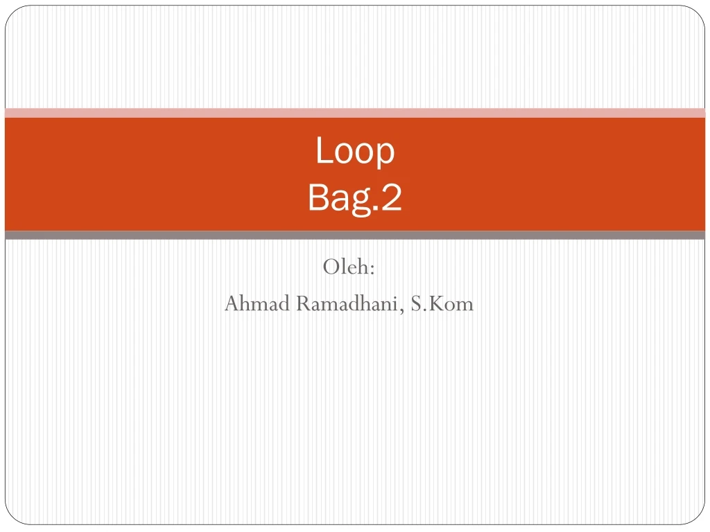 loop bag 2