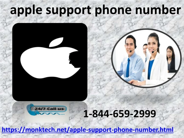 apple support phone number