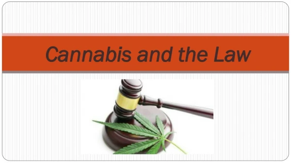 Cannabis and the Law