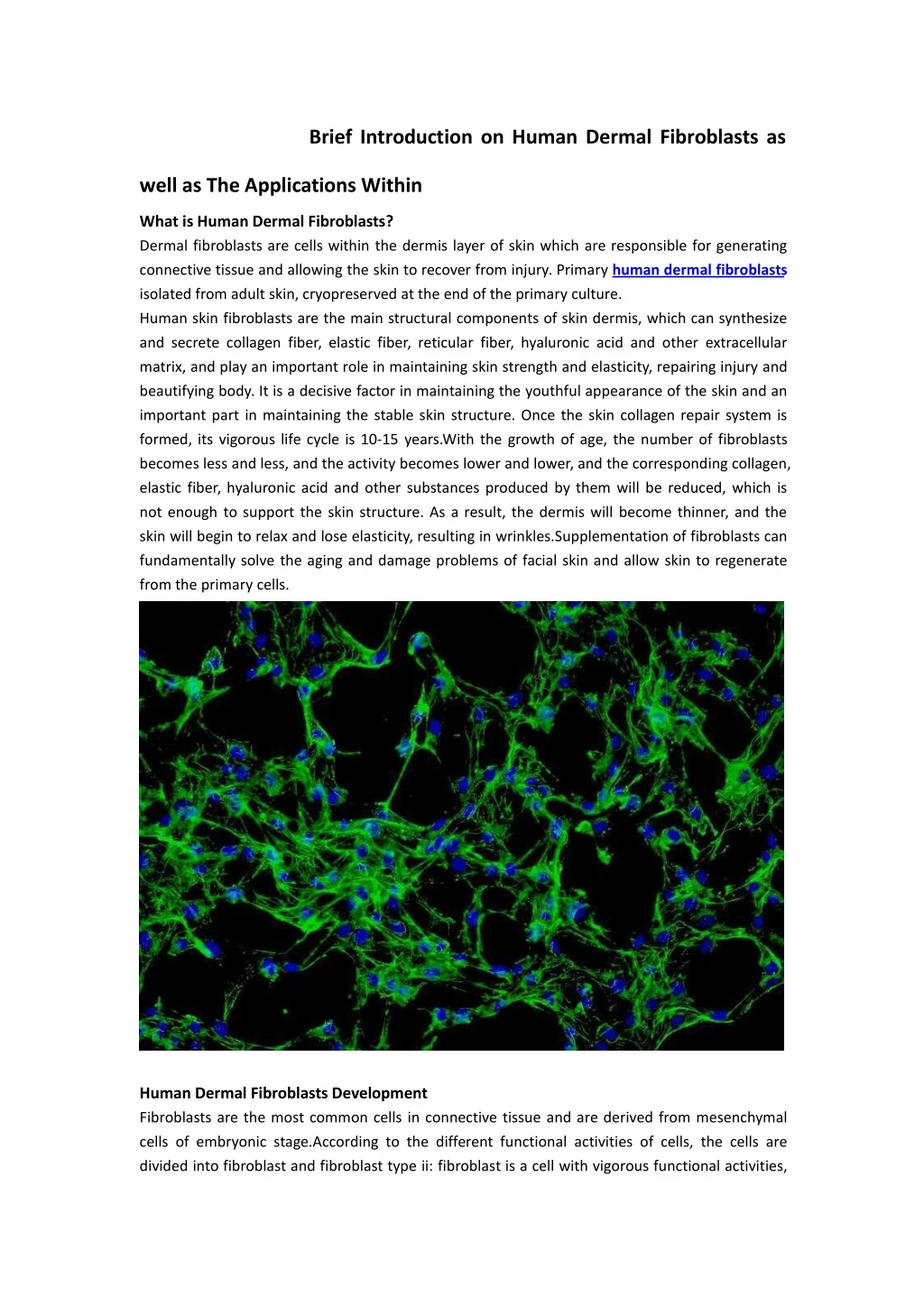 brief introduction on human dermal fibroblasts as