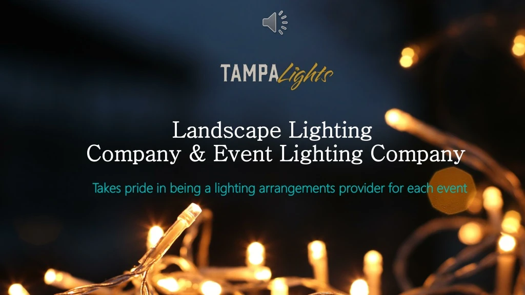 landscape lighting company event lighting company