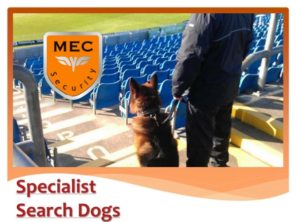 Specialist Search Dogs