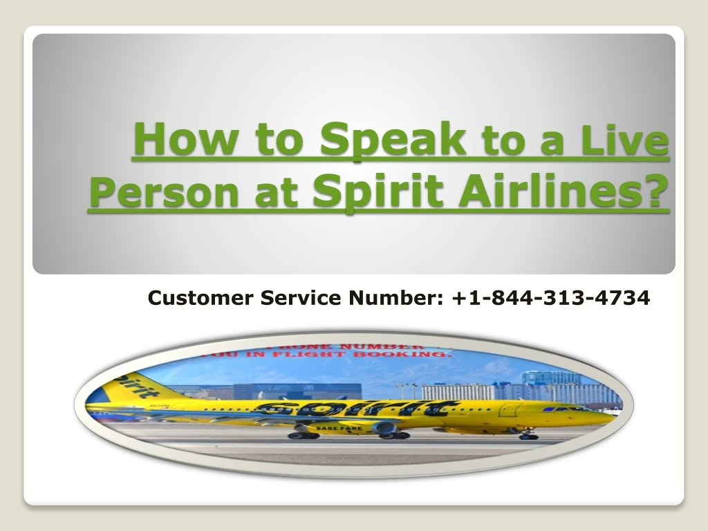 how to speak to a live person at spirit airlines