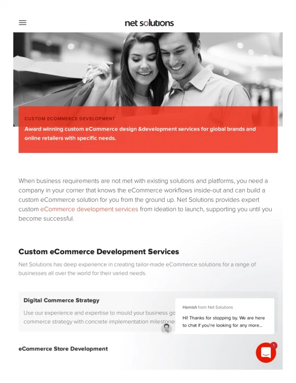 Custom eCommerce Developers