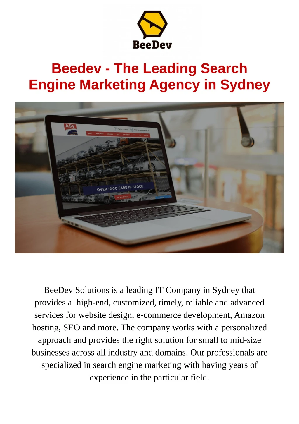 beedev the leading search engine marketing agency