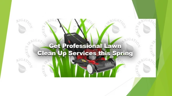 Get Professional Lawn Clean Up Services this Spring