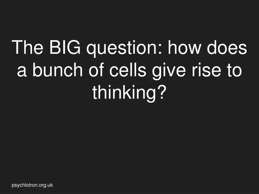 the big question how does a bunch of cells give rise to thinking