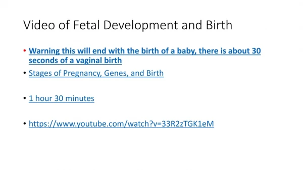 Video of Fetal Development and Birth