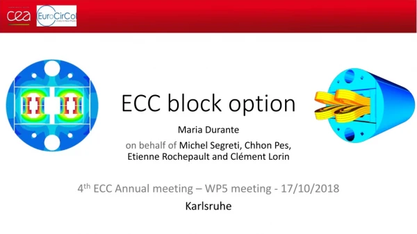 ECC block option