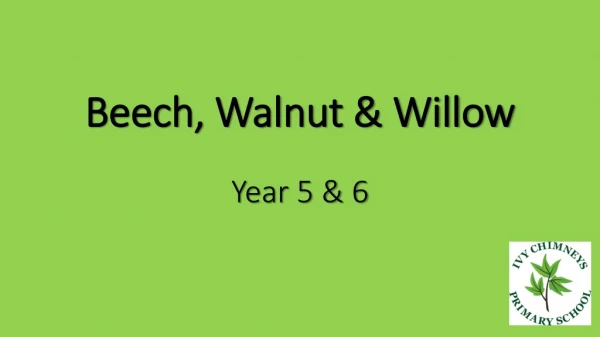 Beech, Walnut &amp; Willow