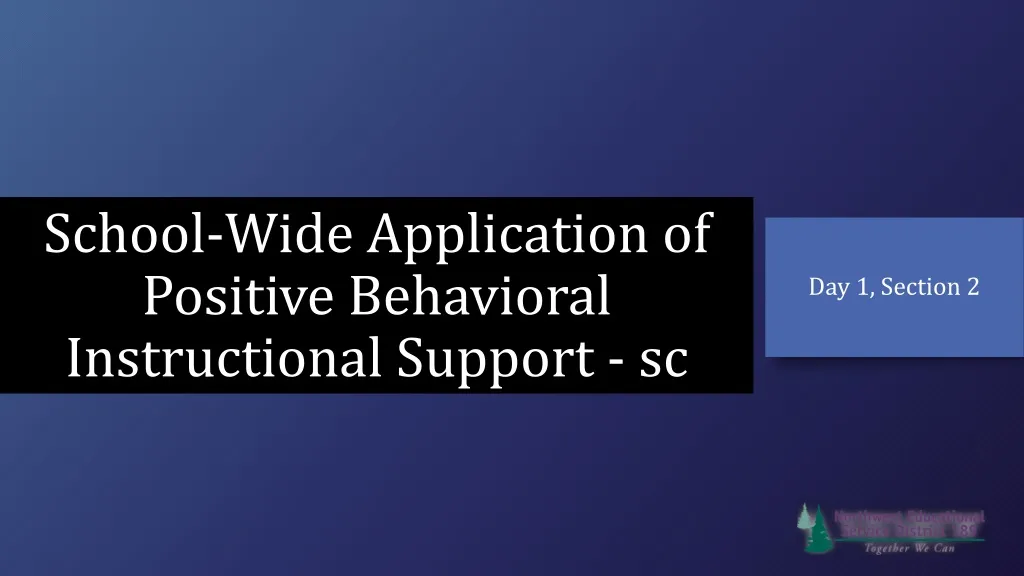 school wide application of positive behavioral instructional support sc