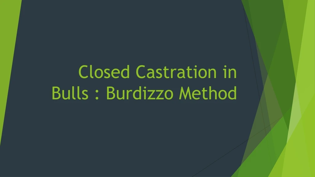 closed castration in bulls burdizzo method