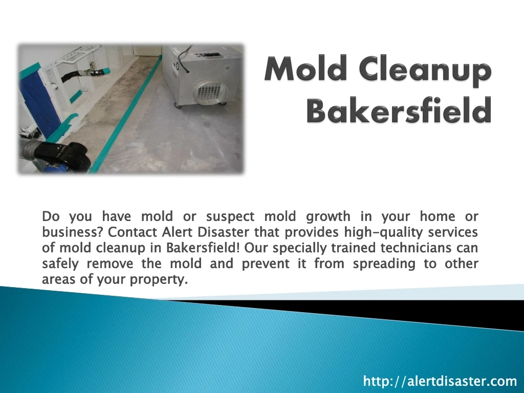 mold cleanup bakersfield
