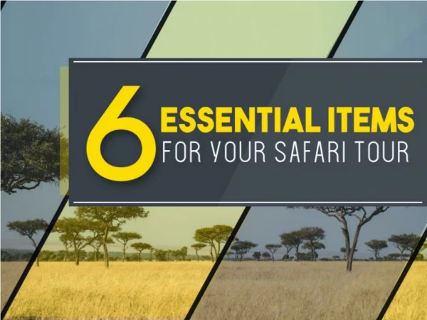6 Essential Items For Your Safari Tour