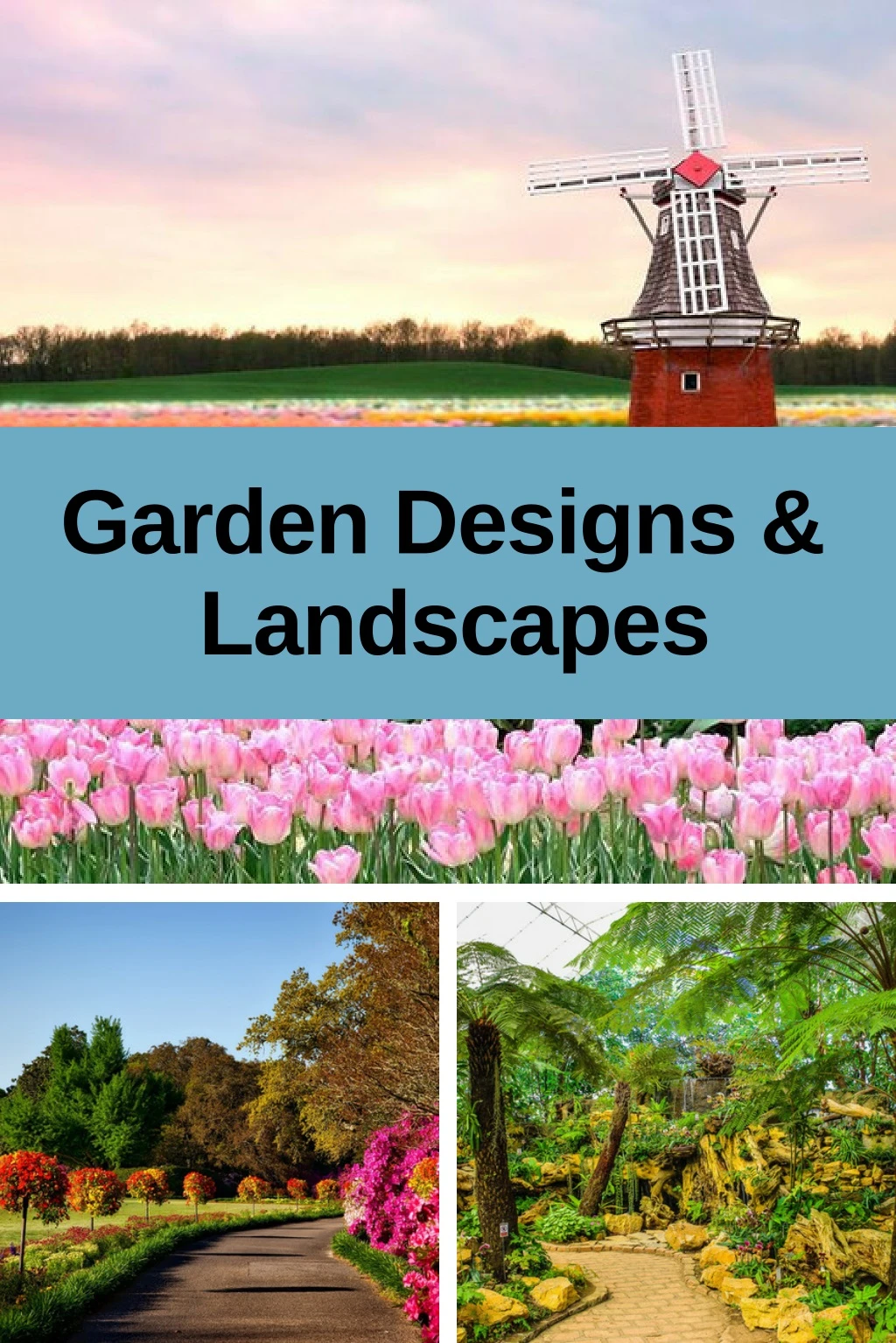 garden designs landscapes