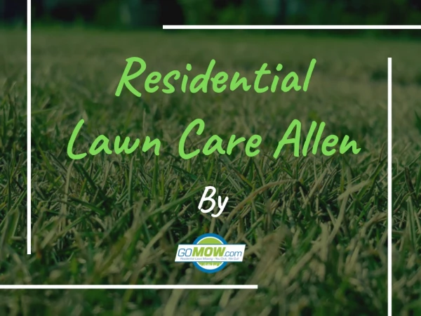 Do you need lawn care service in allen tx?