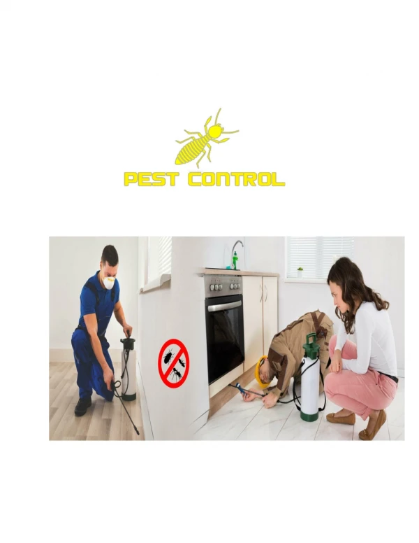 Hire The Right Pest Control Company in Gurgaon