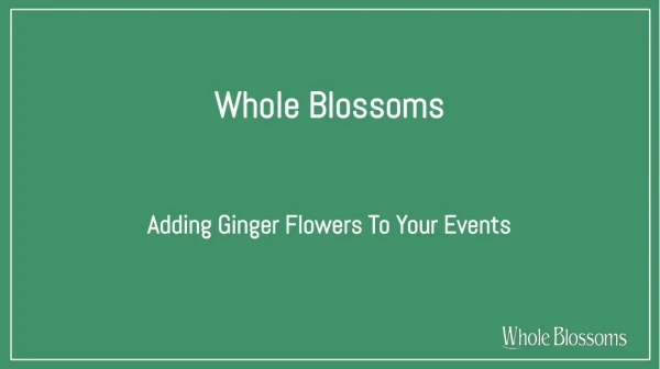 Buy Ginger Flowers in Bulk and Add Them to Your Events
