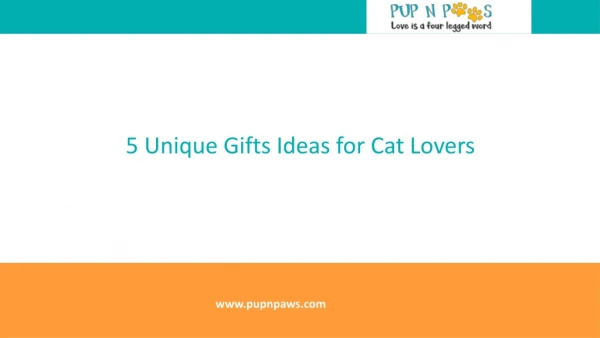 5 unique gifts ideas for cat lovers | Pupnpaws