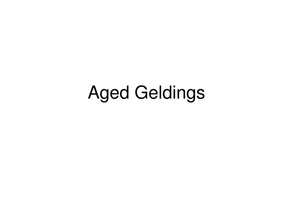 Aged Geldings