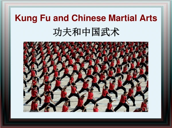 Kung Fu and Chinese Martial Arts