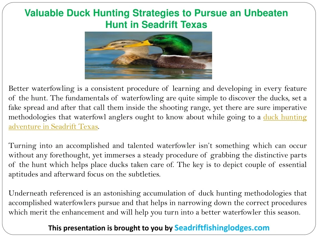 valuable duck hunting strategies to pursue