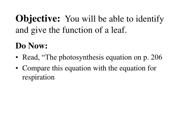 Objective: You will be able to identify and give the function of a leaf.