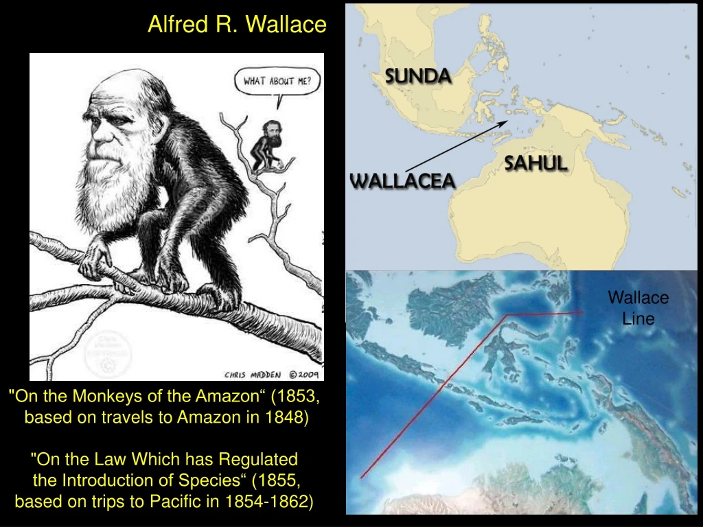 alfred r wallace