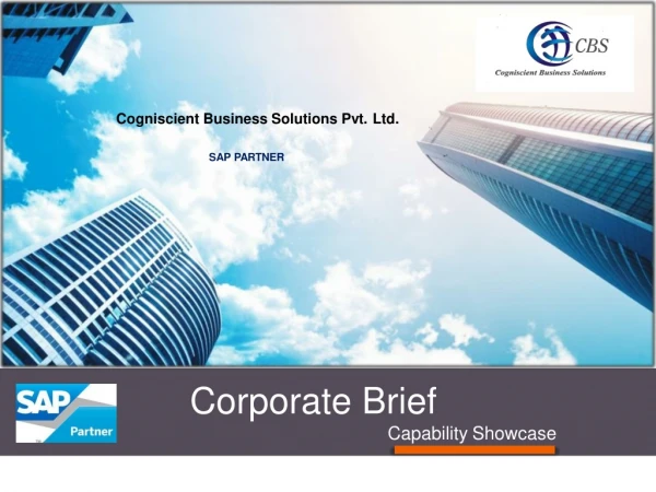 SAP Business One ERP Partner