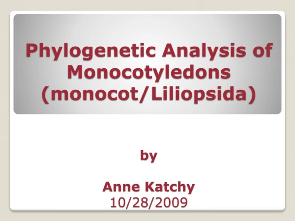 Phylogenetic Analysis of Monocotyledons (monocot/ Liliopsida ) by Anne Katchy 10/28/2009