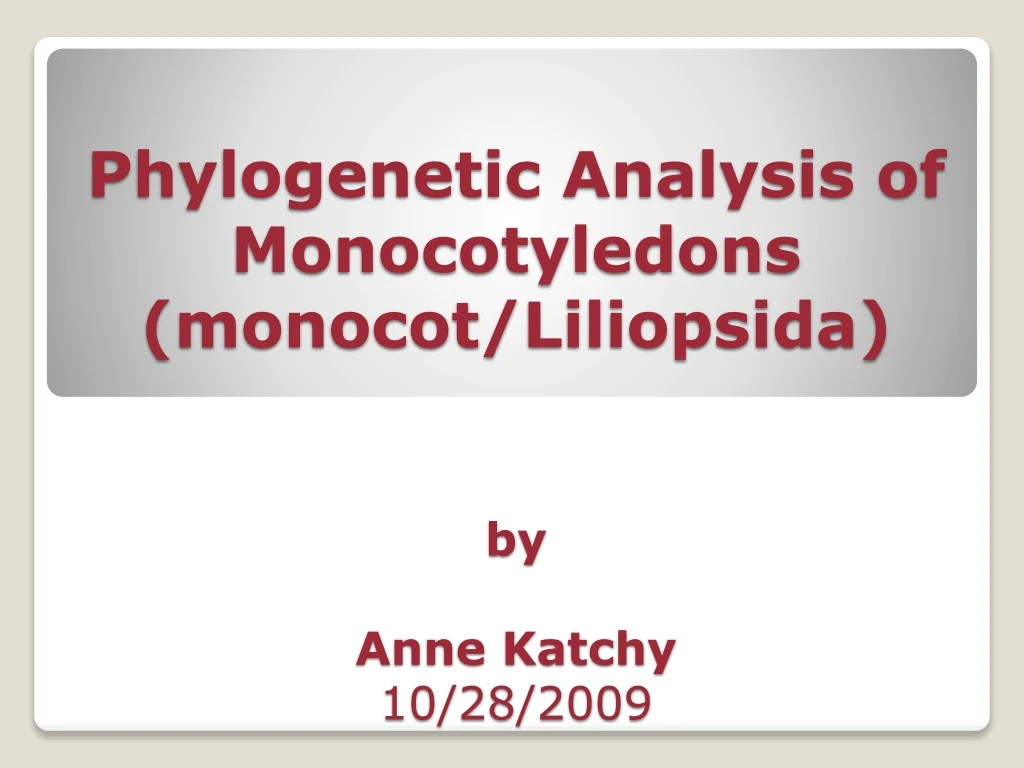phylogenetic analysis of monocotyledons monocot liliopsida by anne katchy 10 28 2009