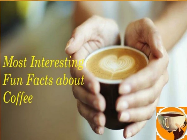 Most Interesting Fun Facts about Coffee