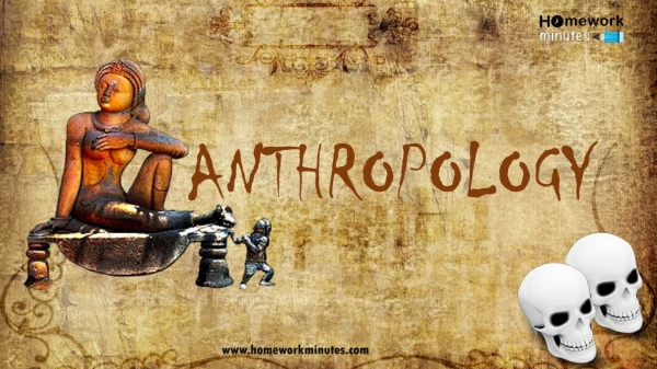 Reasons Why You Should Invest In Anthropology