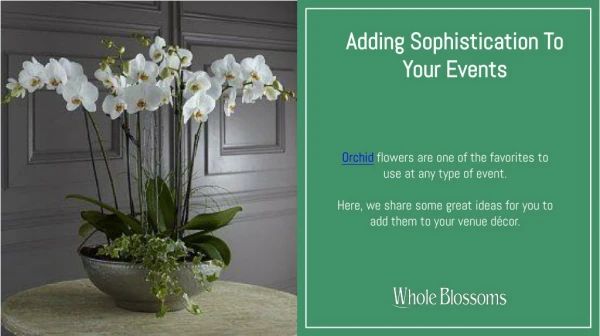 Add a Touch of Sophistication in Decor with Wholesale Orchids