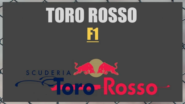 Toro Rosso Net Worth, Salary and Endorsements