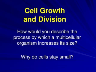 Cell Growth & Division: Understanding the Process in Multicellular Organisms - slide 1