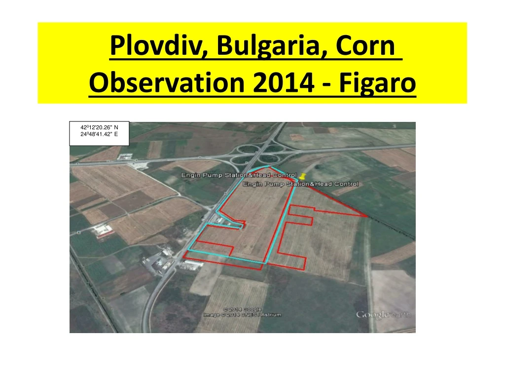 plovdiv bulgaria corn observation 2014 figaro