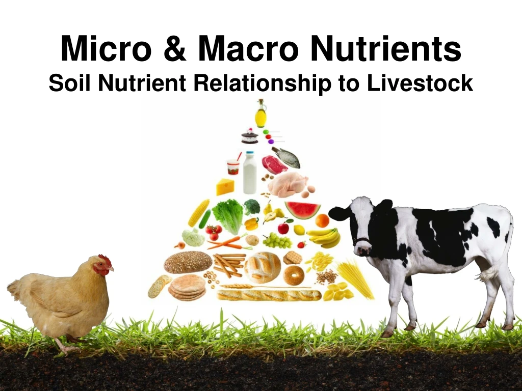 micro macro nutrients soil nutrient relationship to livestock