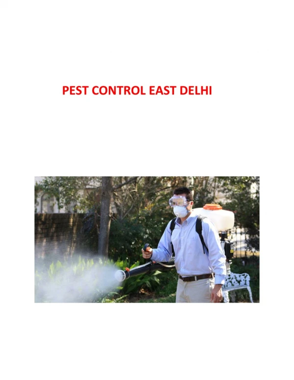 Avail the best Pest Control Services In East Delhi