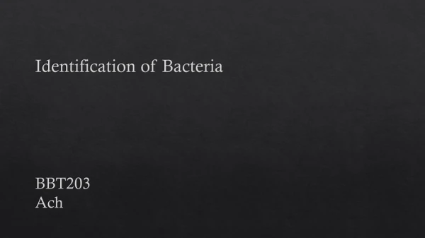 Identification of Bacteria BBT203 Ach